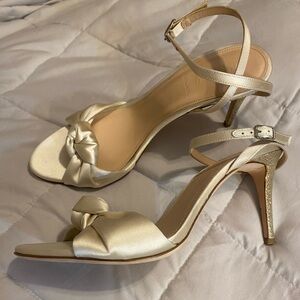 Stunning Satin Wedding Rylie Pumps Made in Italy by J. Crew Collection